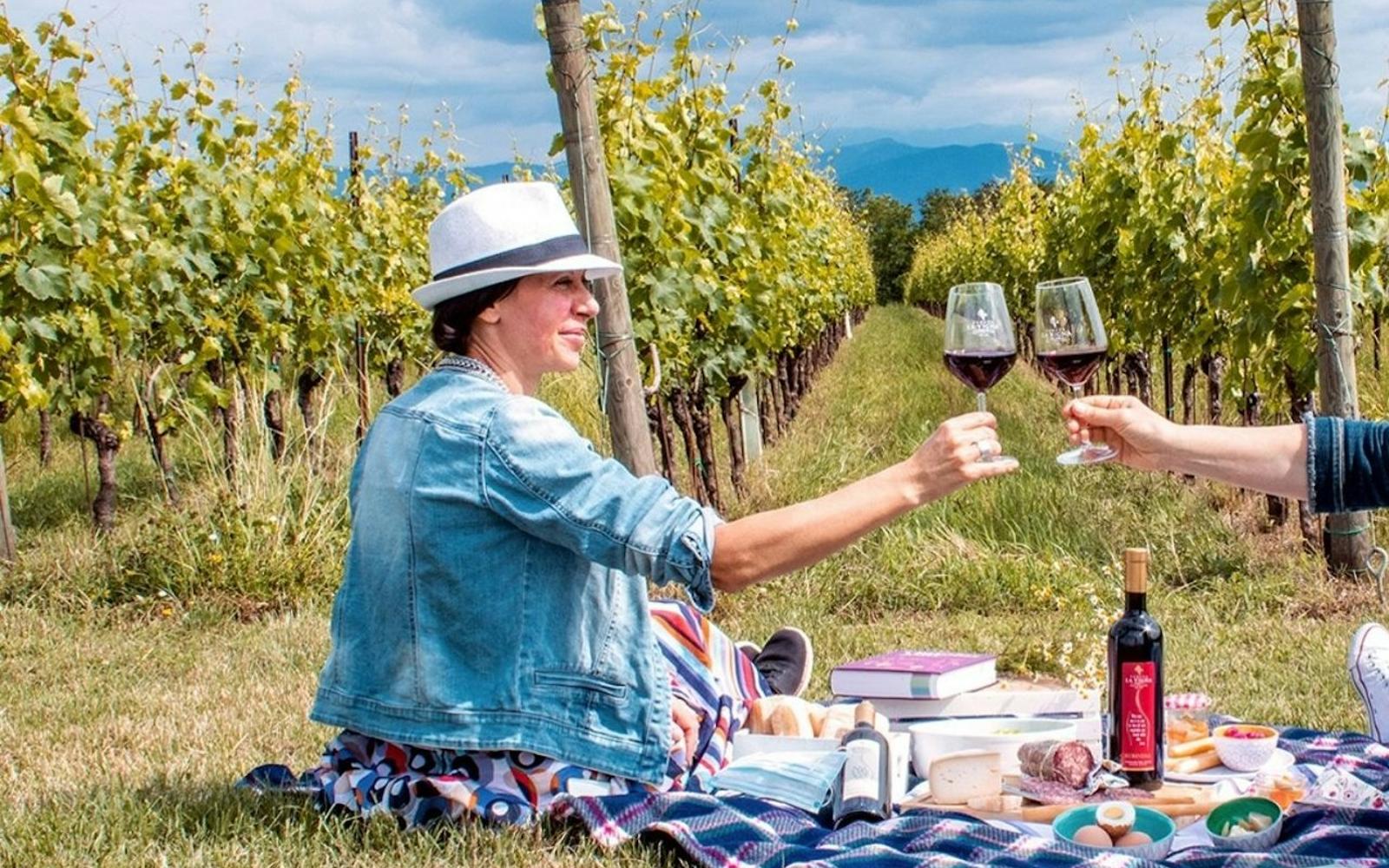 Montelpulciano Vineyard: Wine Tasting + Picnic tickets at Siena Wine Tasting, Siena