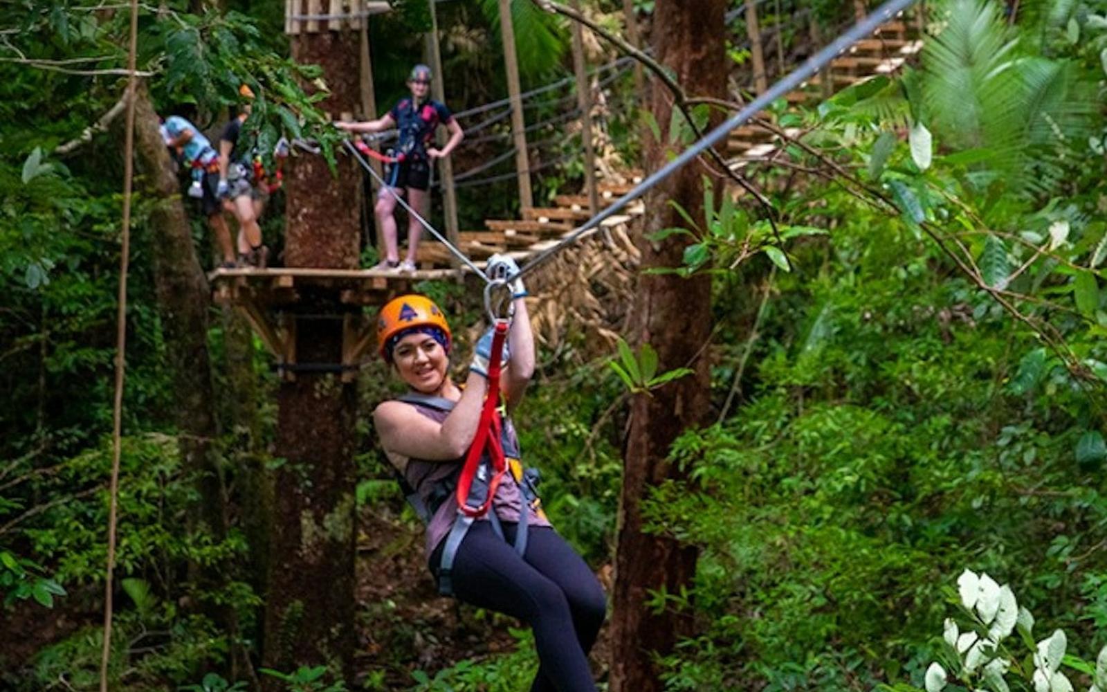 Treetops Adventure - Cape Tribulation