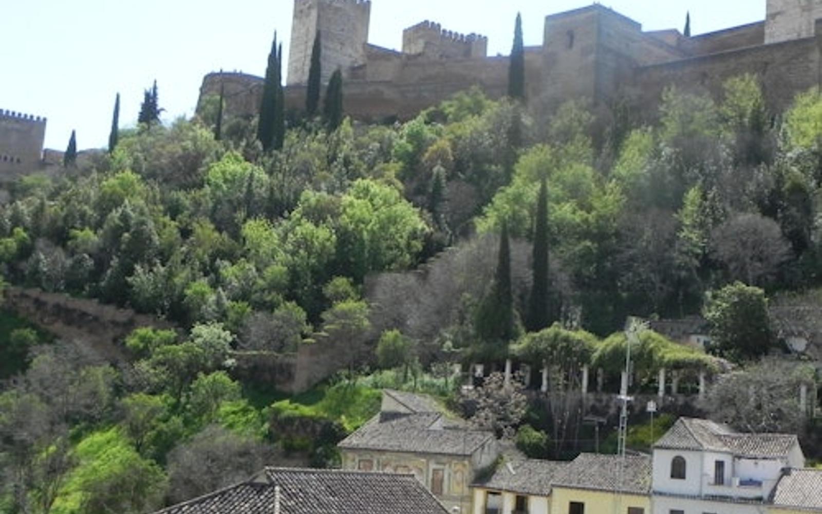 Palau dels Oblidats: Entrada Salta La Cua