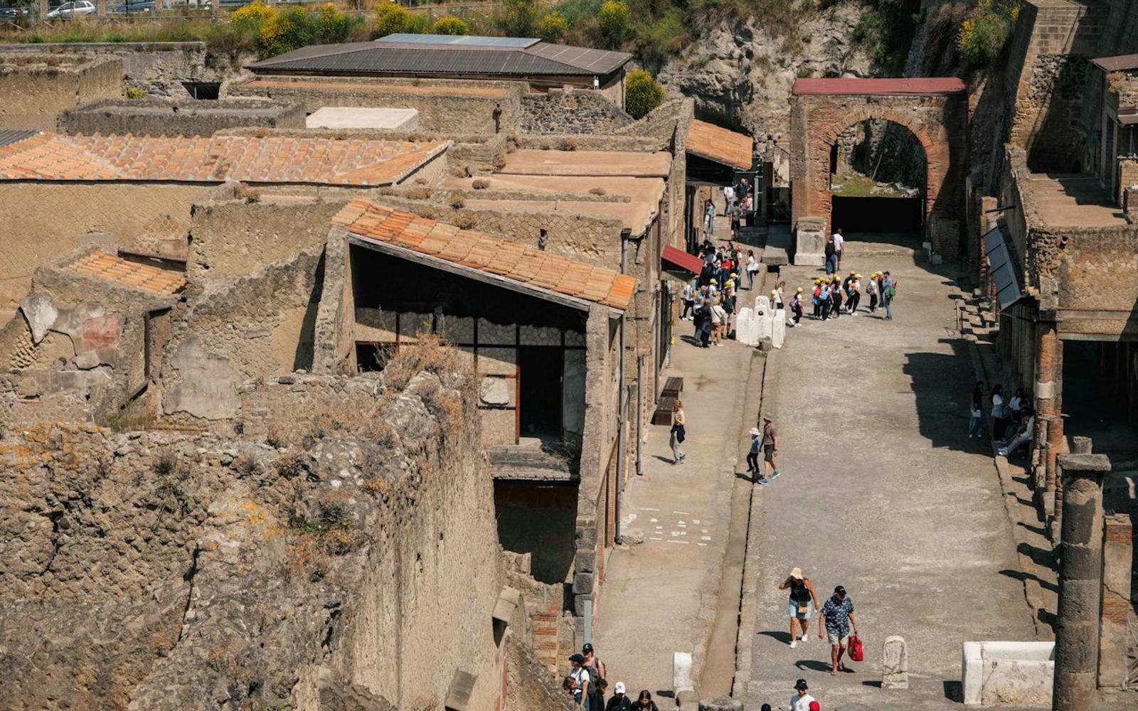 Herculaneum: Guided Tour