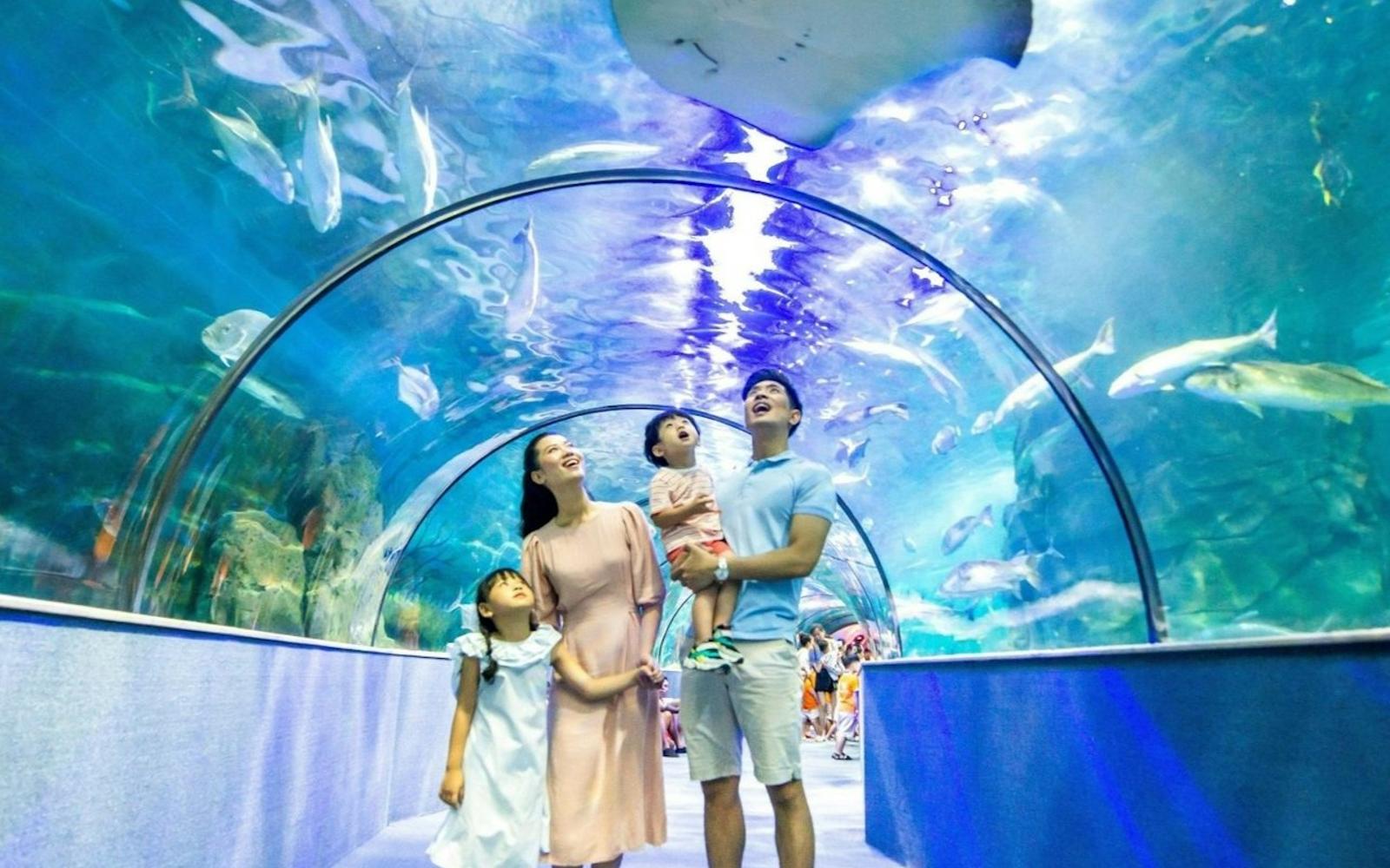 VinKE & Vinpearl Aquarium: Entry Ticket at VinKE & Vinpearl Aquarium, Hanoi