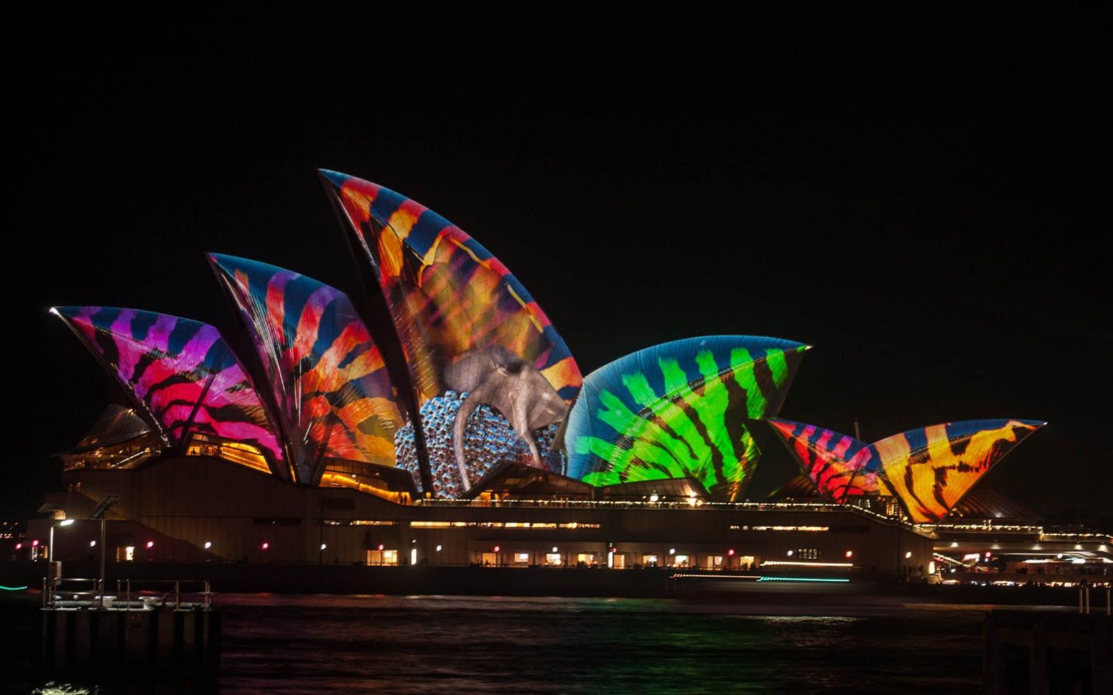 Vivid Sydney Glass Boat Dinner Cruise tickets, Sydney