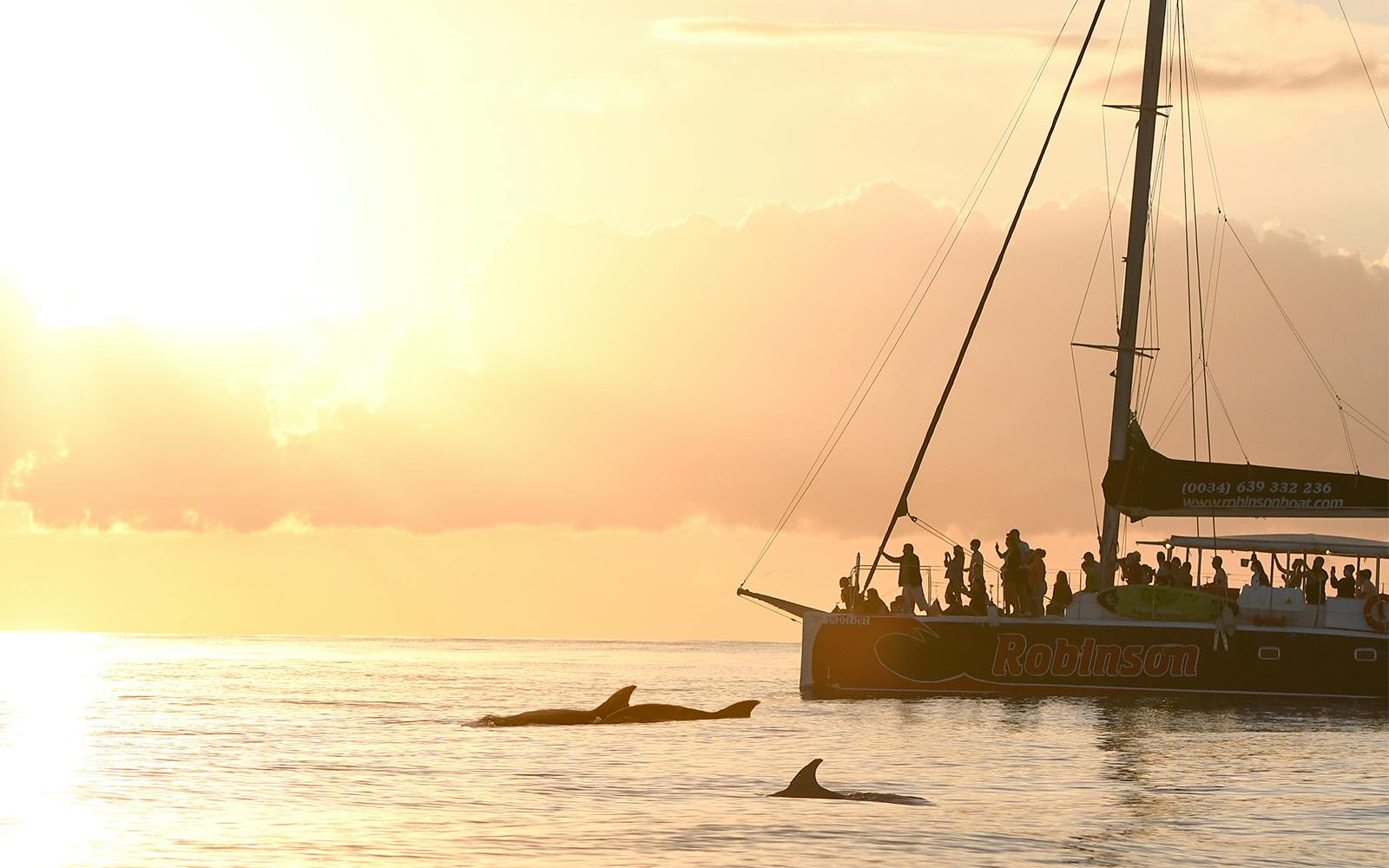 Mallorca Sunrise and Dolphin Watching Catamaran