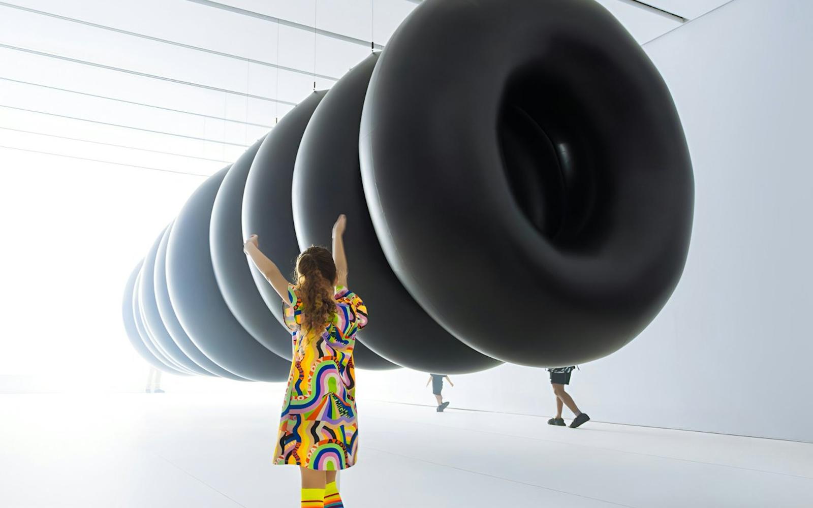 Balloon Museum Dallas: Let’s Fly Exhibition Entry Ticket at Balloon Museum Dallas, Dallas