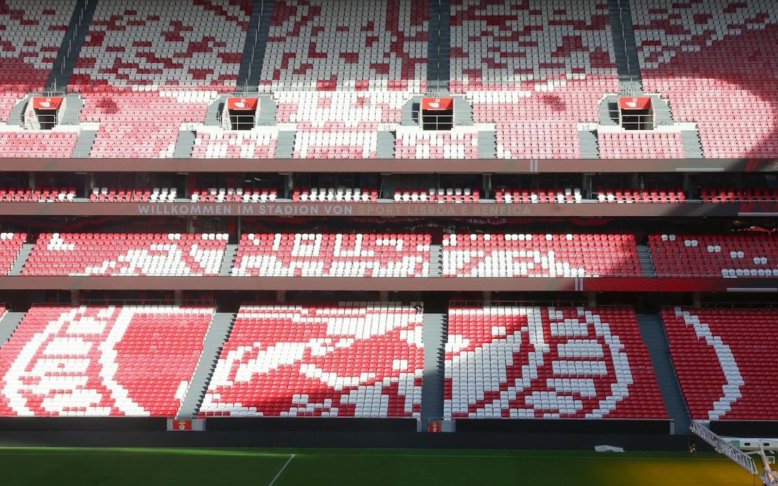 Estádio da Luz: Entry Ticket + Scarf Offer