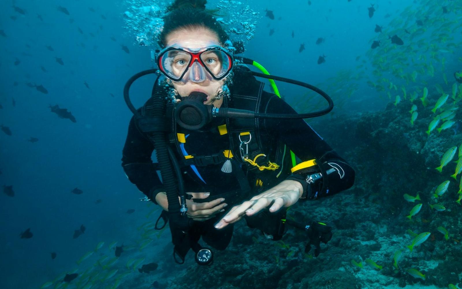 Beginner Scuba Diving Tour with Videos