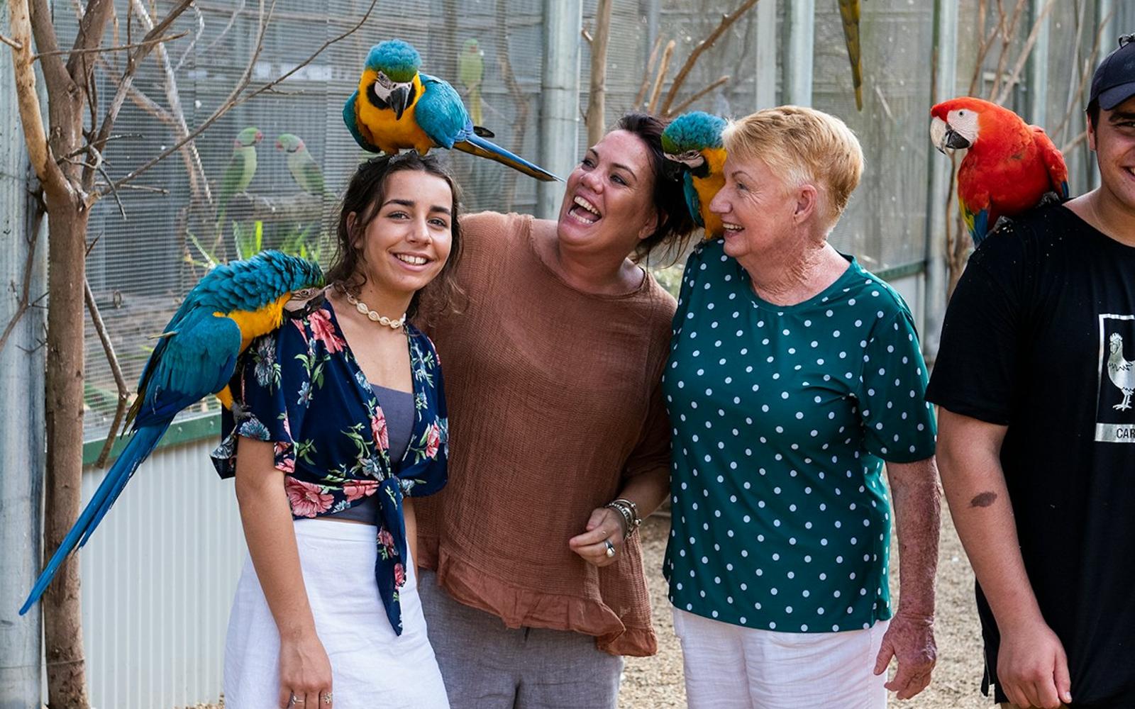 Maleny Botanic Gardens & Bird World: Entry Ticket