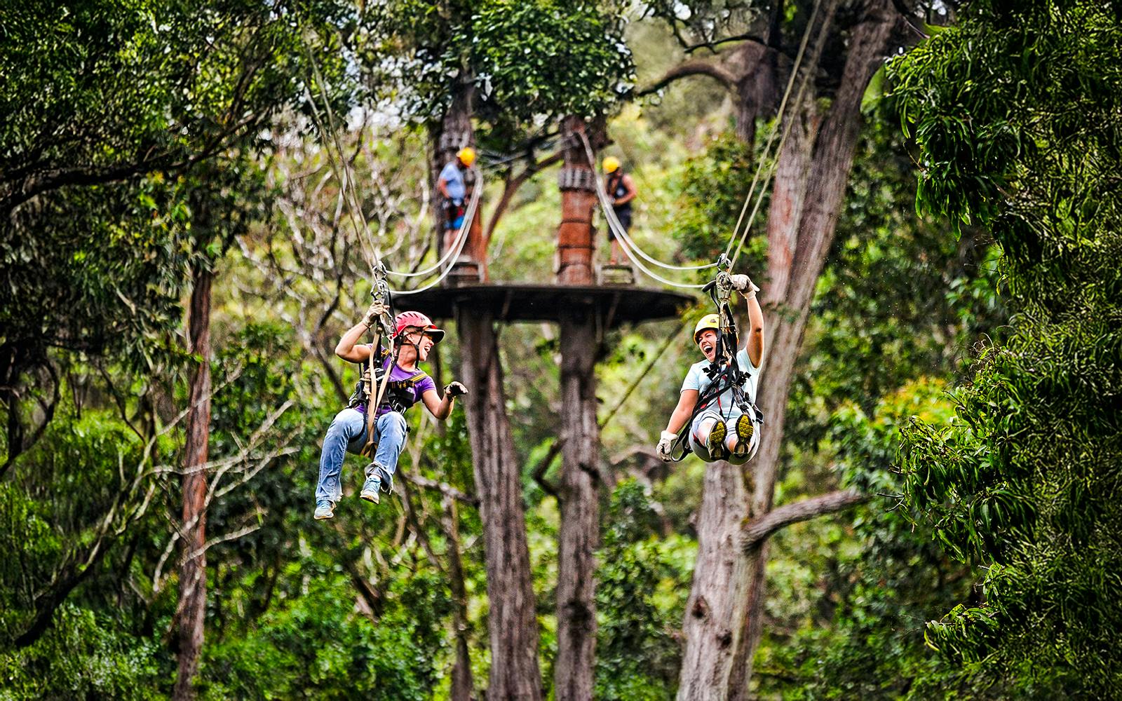 Big Island: Kohala Waterfalls and Canopy Zip & Dip Tour
