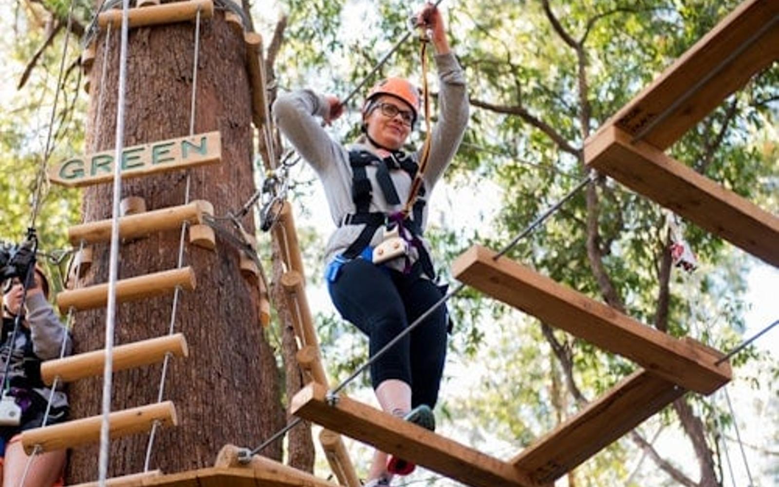Coffs Harbour: Treetops Adventure
