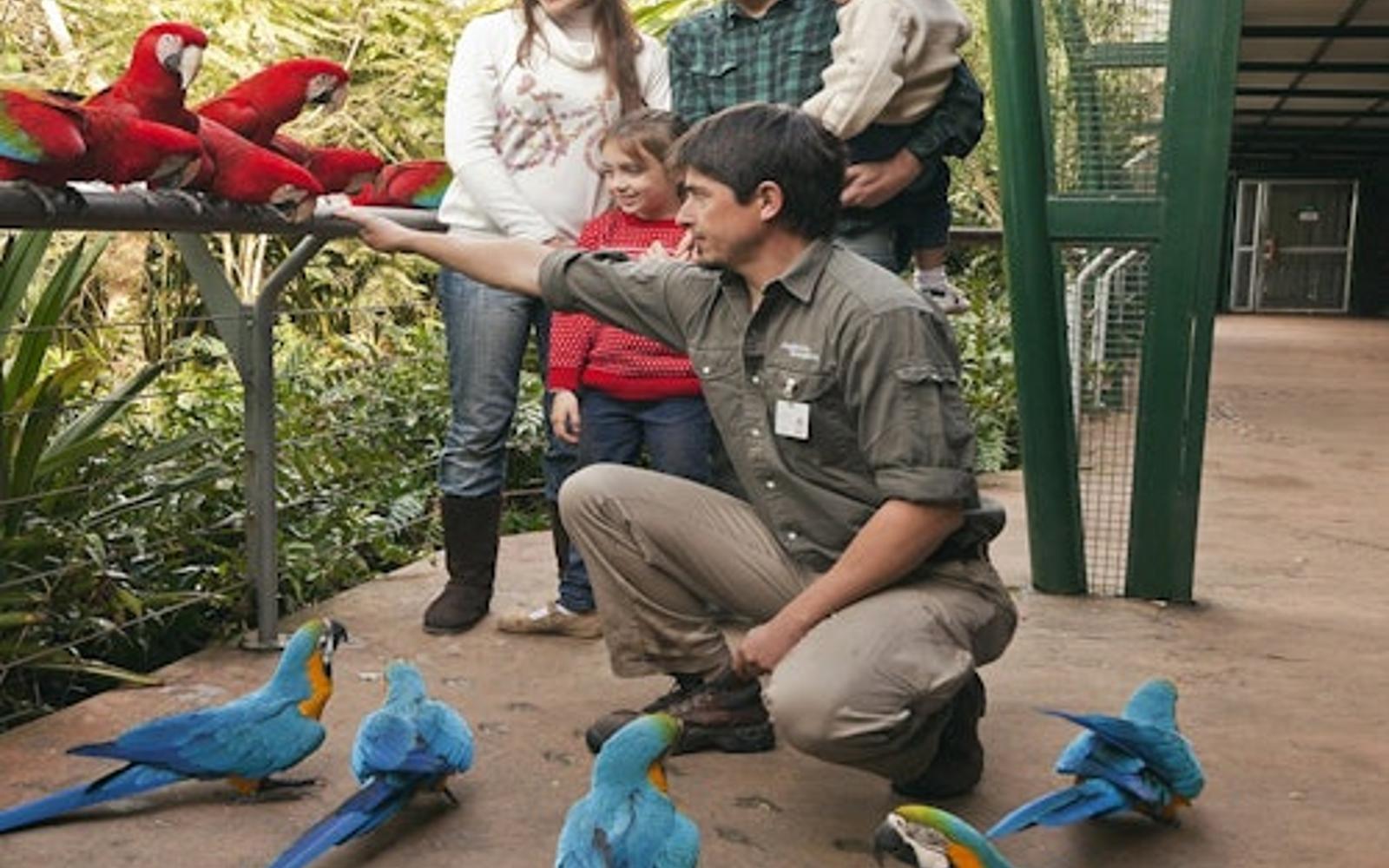 Temaikèn Zoo: Entrance & Transport from Buenos Aires