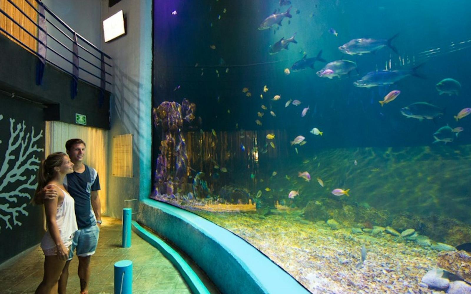 Interactive Aquarium Cancún: Entry Ticket