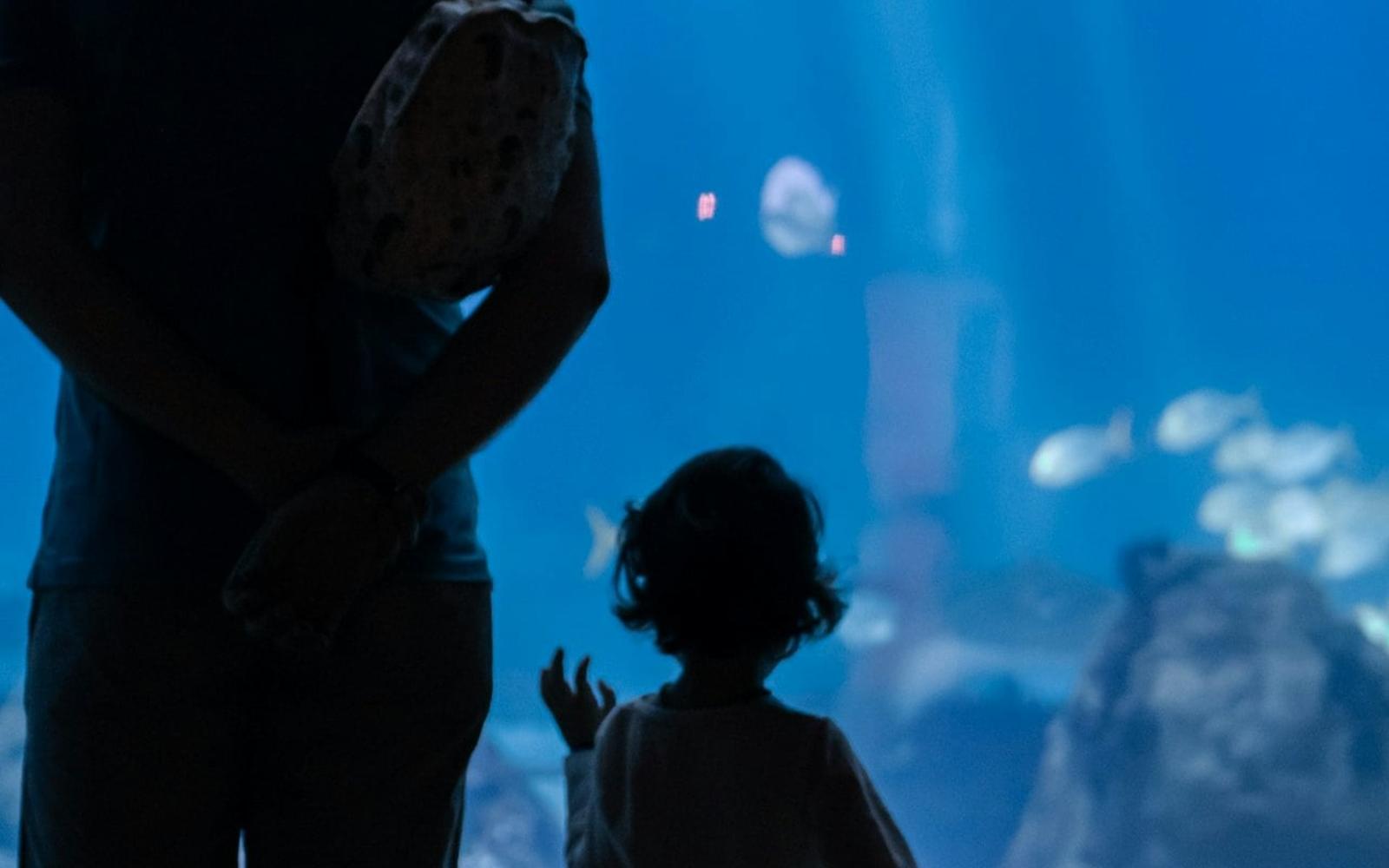 Oceanário de Lisboa: Private Guided Tour