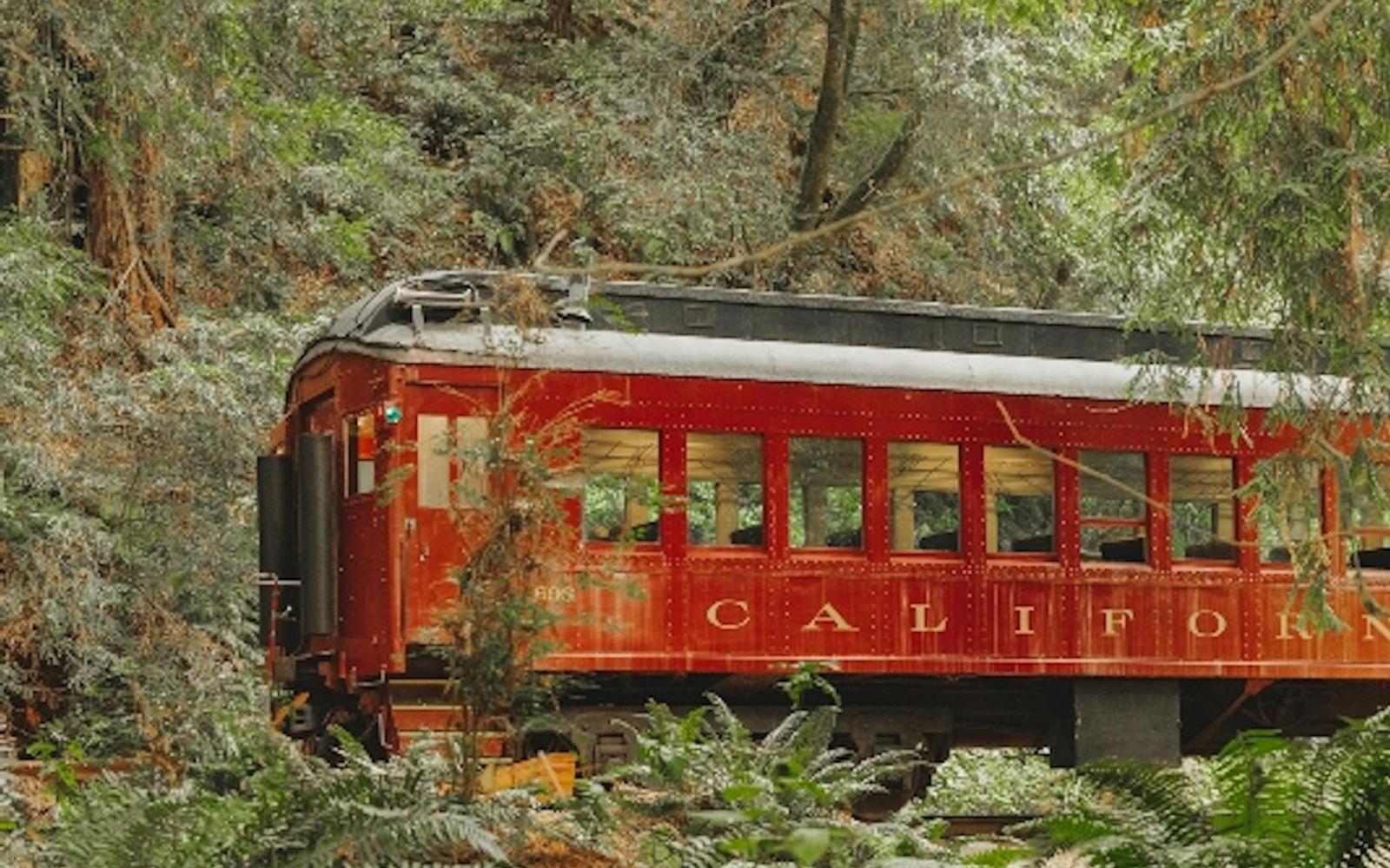 Skunk Train: Wolf Tree Turn
