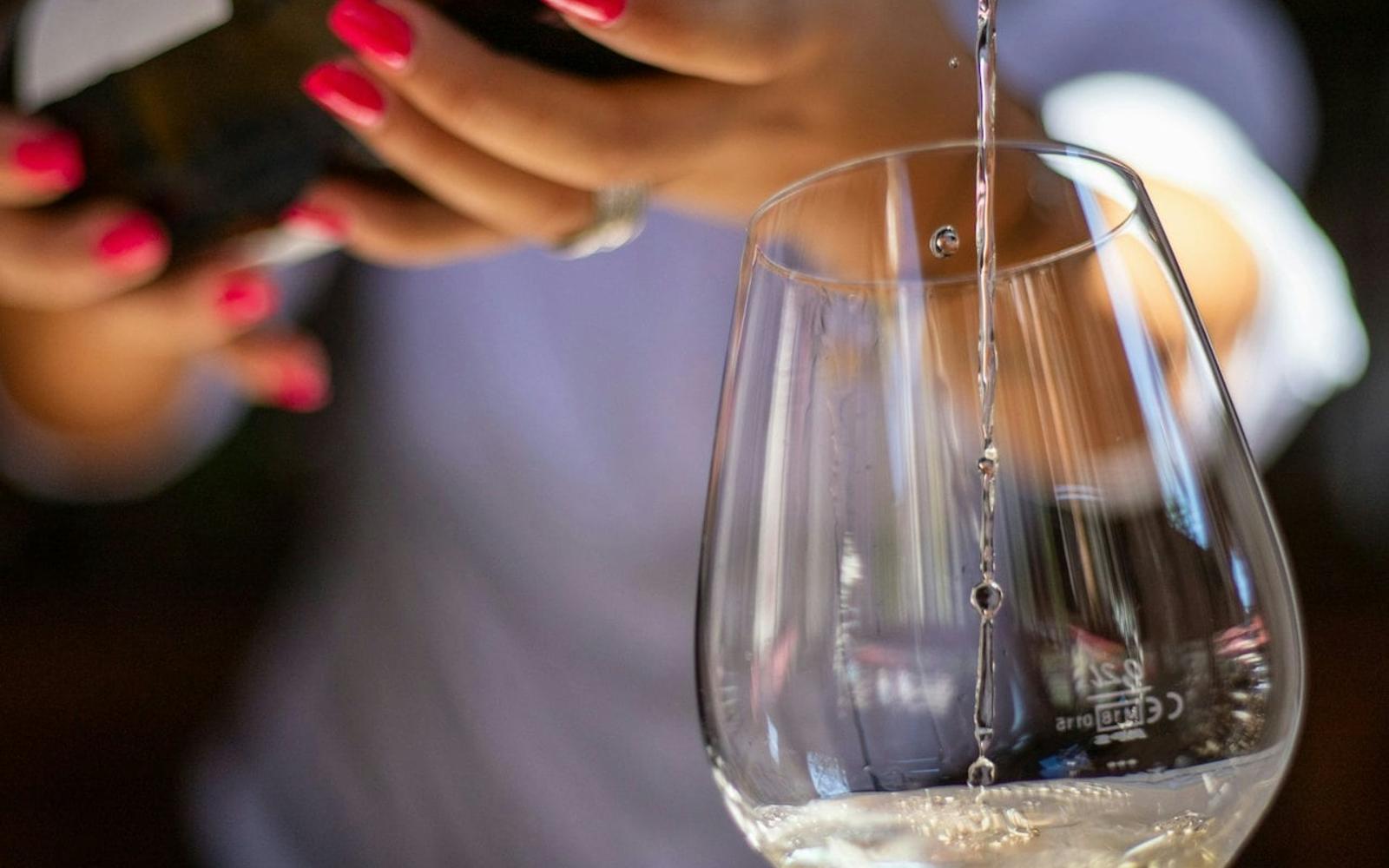 Lisbon: Guided Wine Tasting Experience