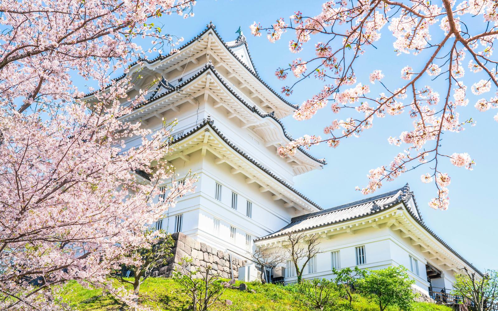 Odawara Castle Entry Tickets