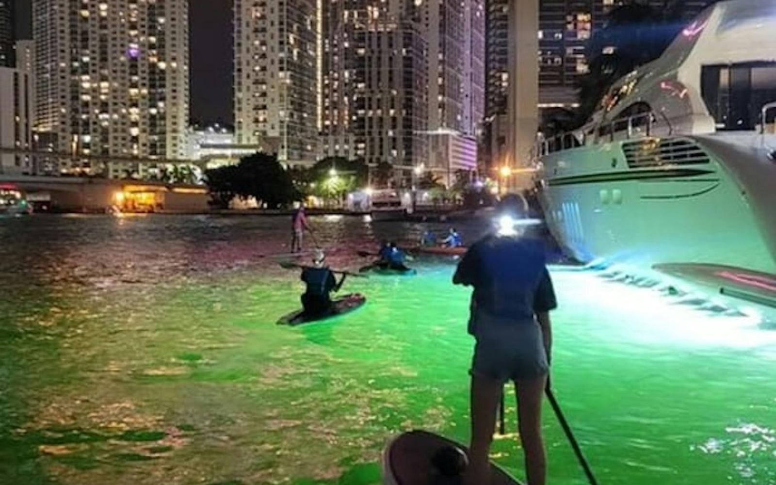 Miami: City Lights SUP or Kayak Night Tour tickets at Miami Water Activities, Miami