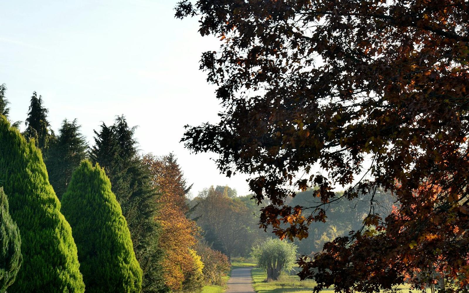 Arboretum de Chèvreloup: Entry Ticket