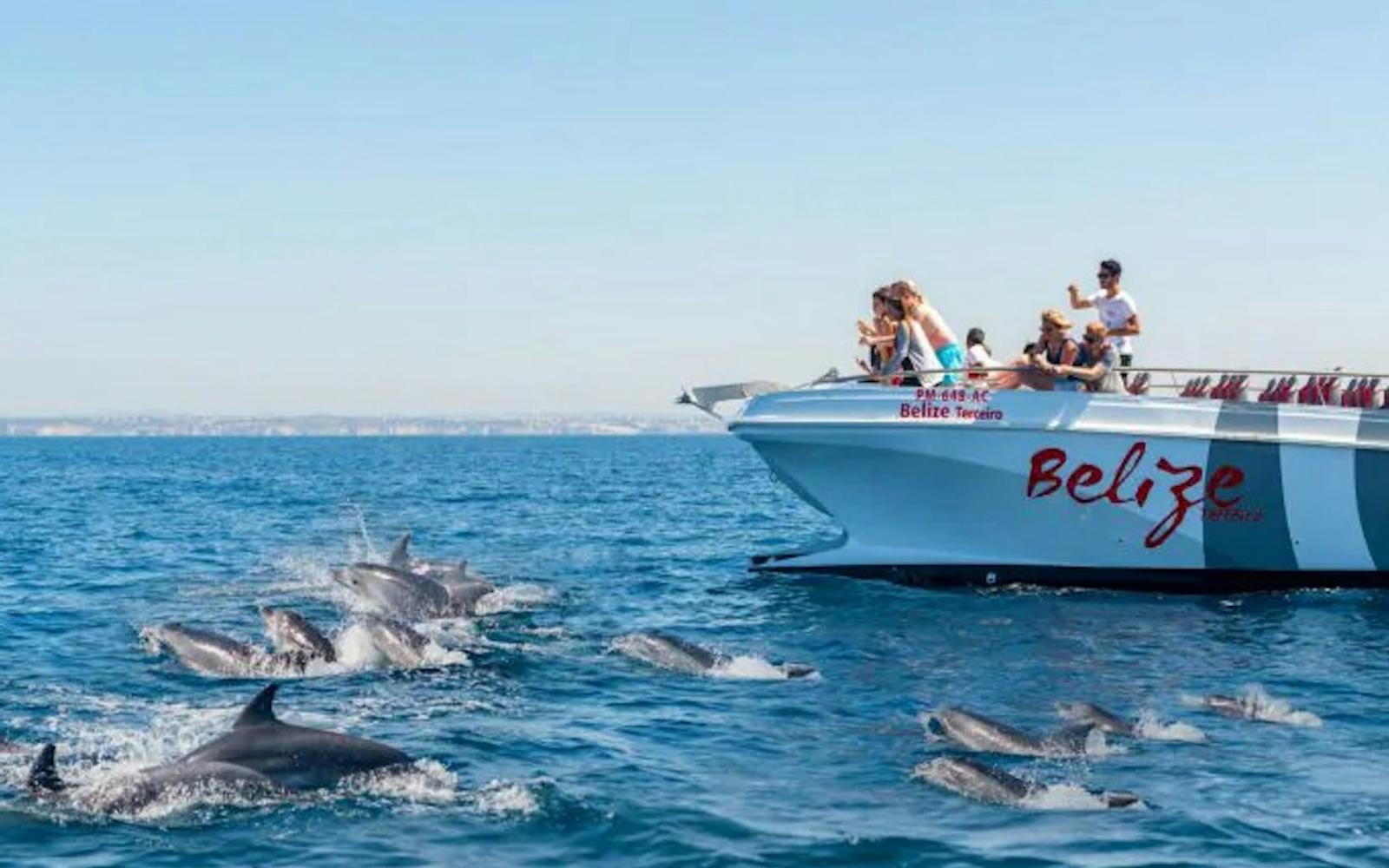 Benagil & Dolphin Watching: Catamaran Tour from Albufeira