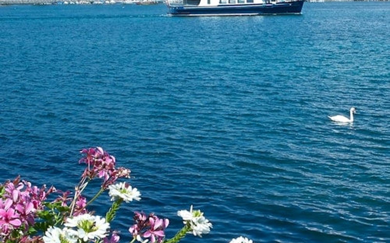 Geneva Boat Tour