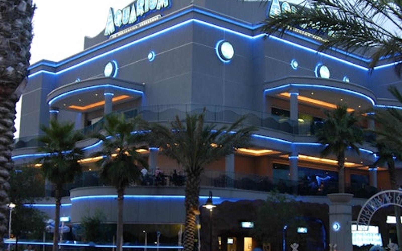 Biglietto d'ingresso: Acquario Bioparc di Gijon