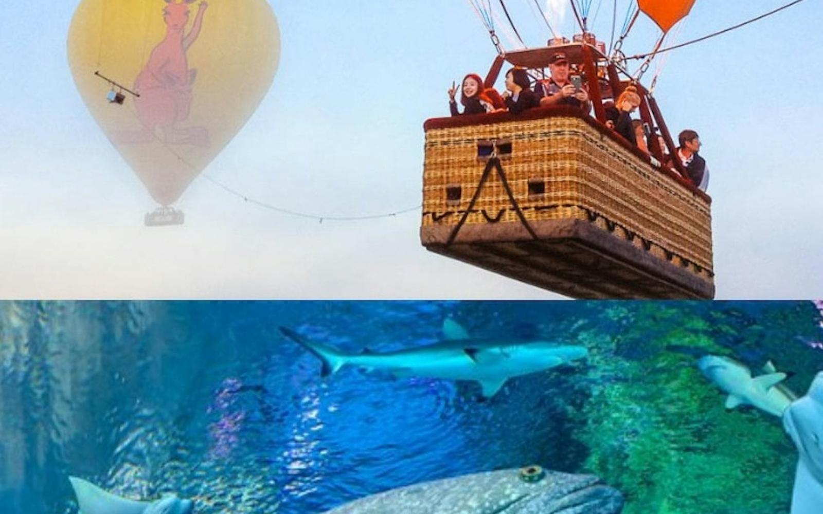 Cairns: Hot Air Balloon Flight + Transfer + Snacks + Optional Activities tickets at Cairns Aviation Activities, Cairns