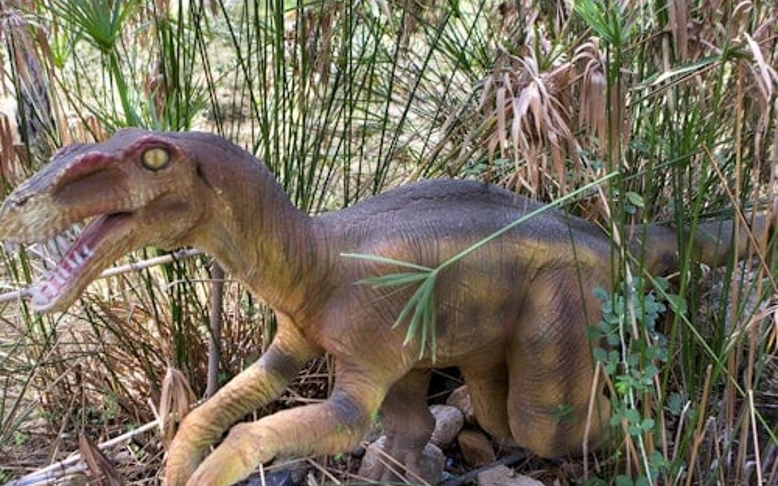Vé Vào Cửa Dinopark Antalya