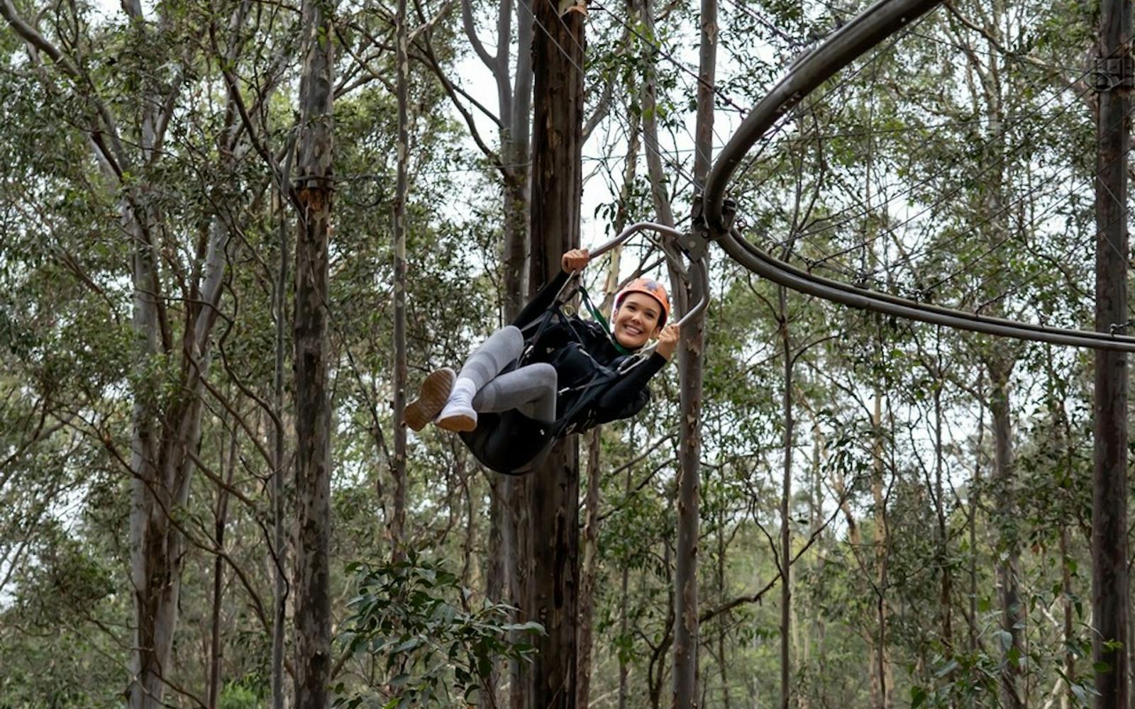 Treetops Adventure Central Coast: Zipcoaster Ride