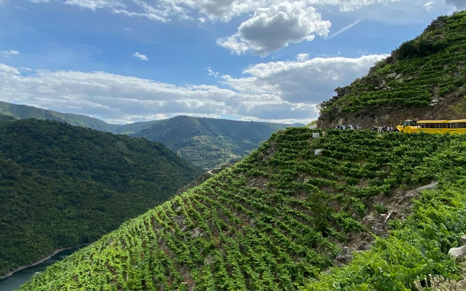 Ribeira Sacra Tourist Train