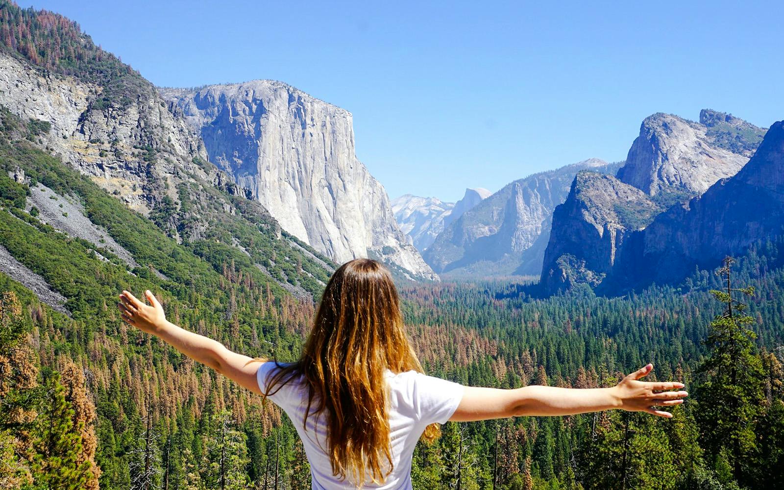 From San Francisco: Yosemite One-Way Tour tickets, San Francisco