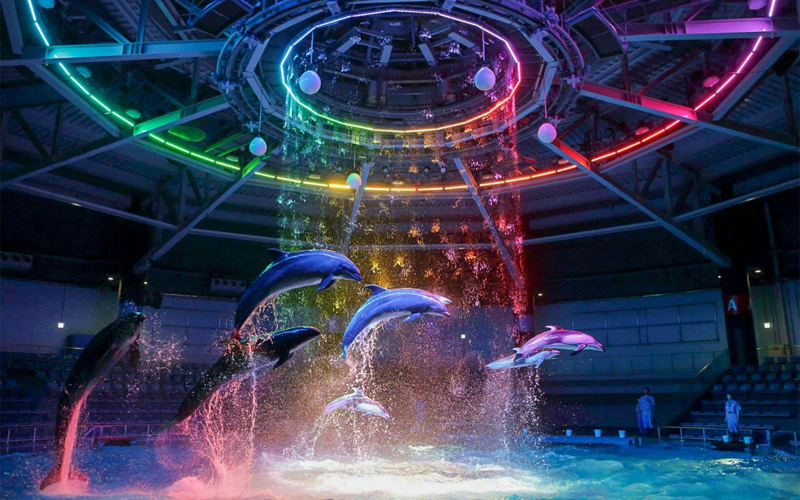 Maxell Aqua Park Tickets [E-Ticket], Tokyo