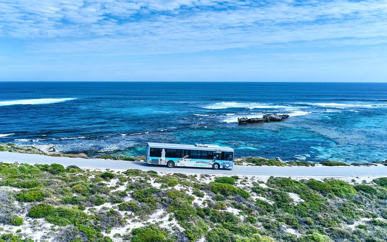 Rottnest Island Guided Bus Tour with Return Ferry