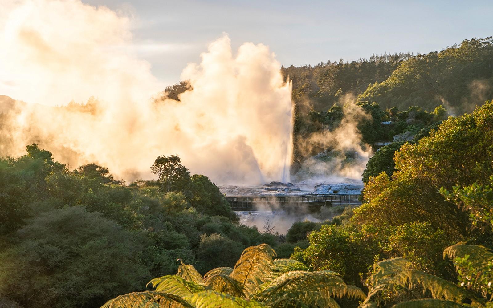 Te Puia: Experiència Guiada Te Rā