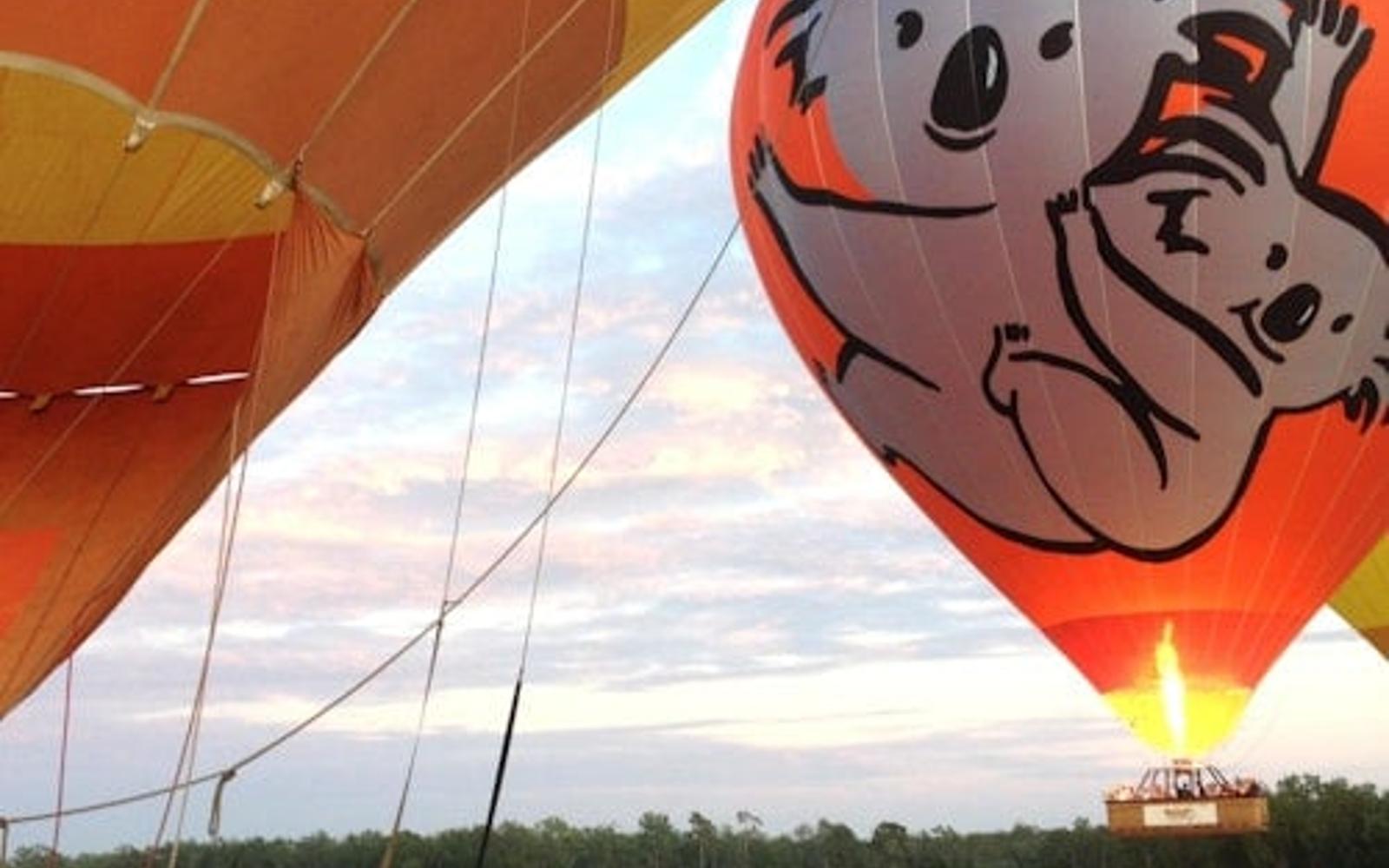 Gold Coast: Hot Air Balloon Experience + Drink
