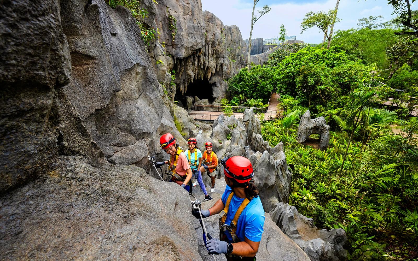 Regnskog Vilda ASIEN Paketerbjudanden tickets, Singapore