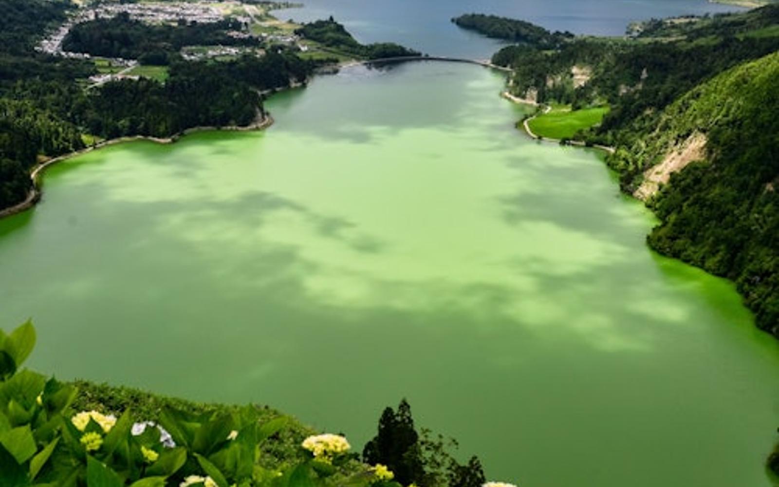 São Miguel Island: Full-Day Sete Cidades Guided Tour + Transfers