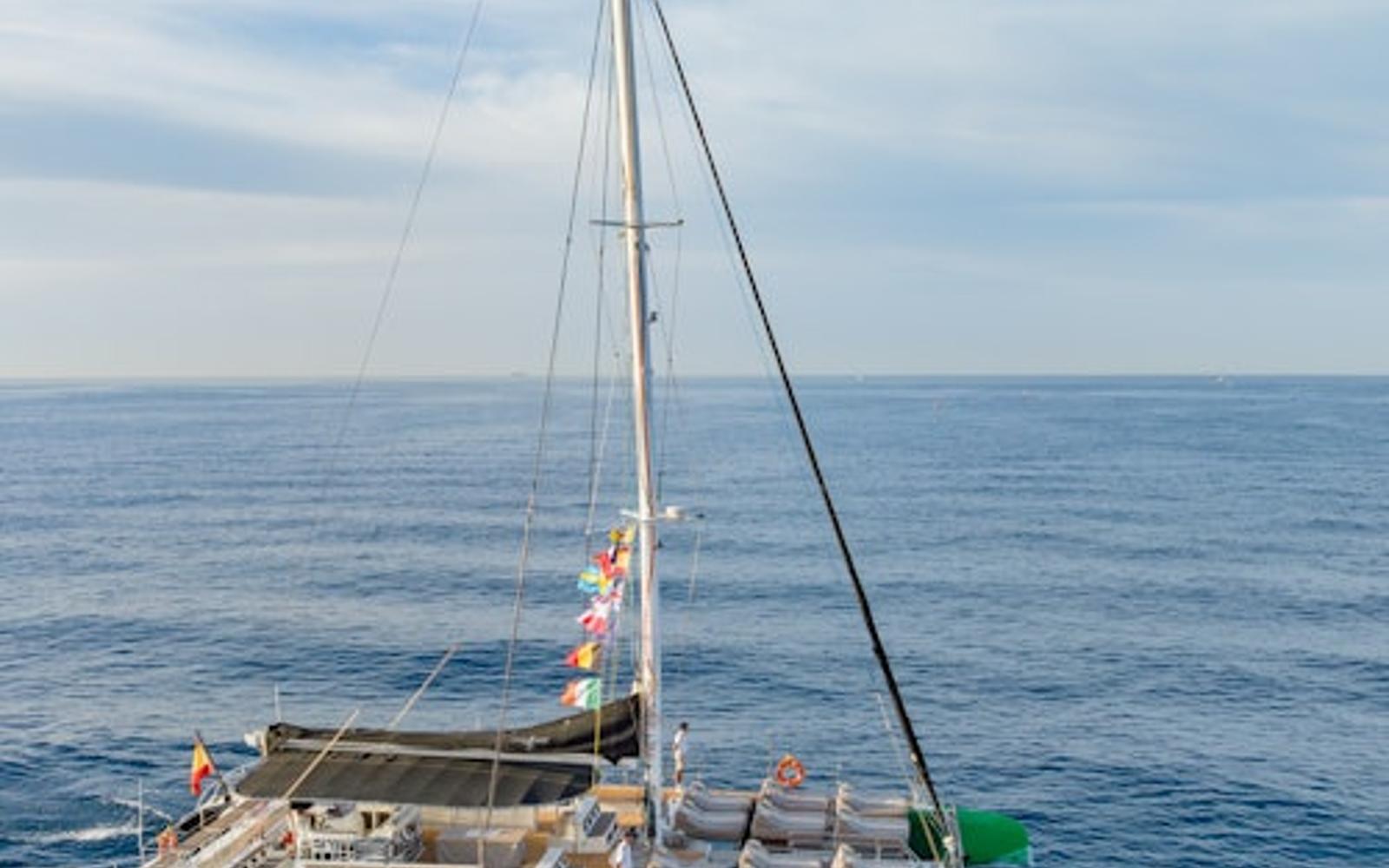 Tenerife: 3-Hour Whale & Dolphin Watching Tour
