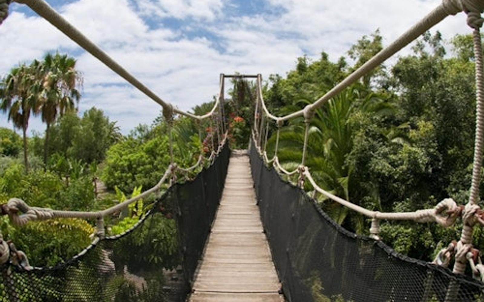 Jungle Park: Entry Ticket