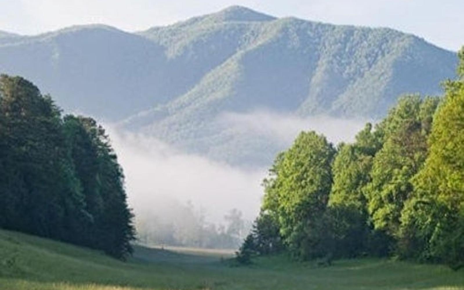 Sights of the Smokies: Full Day Tour tickets at Smoky Mountains Day Trips from Pigeon Forge, Pigeon Forge