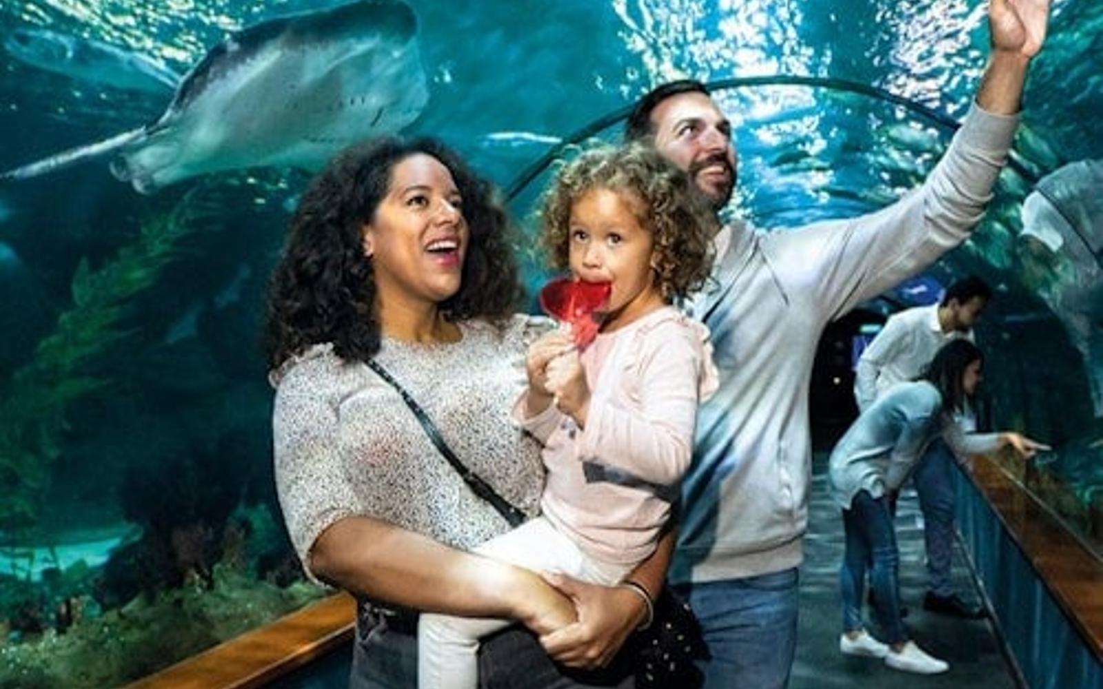 Loro Parque: Entry Ticket + Diamond Pass