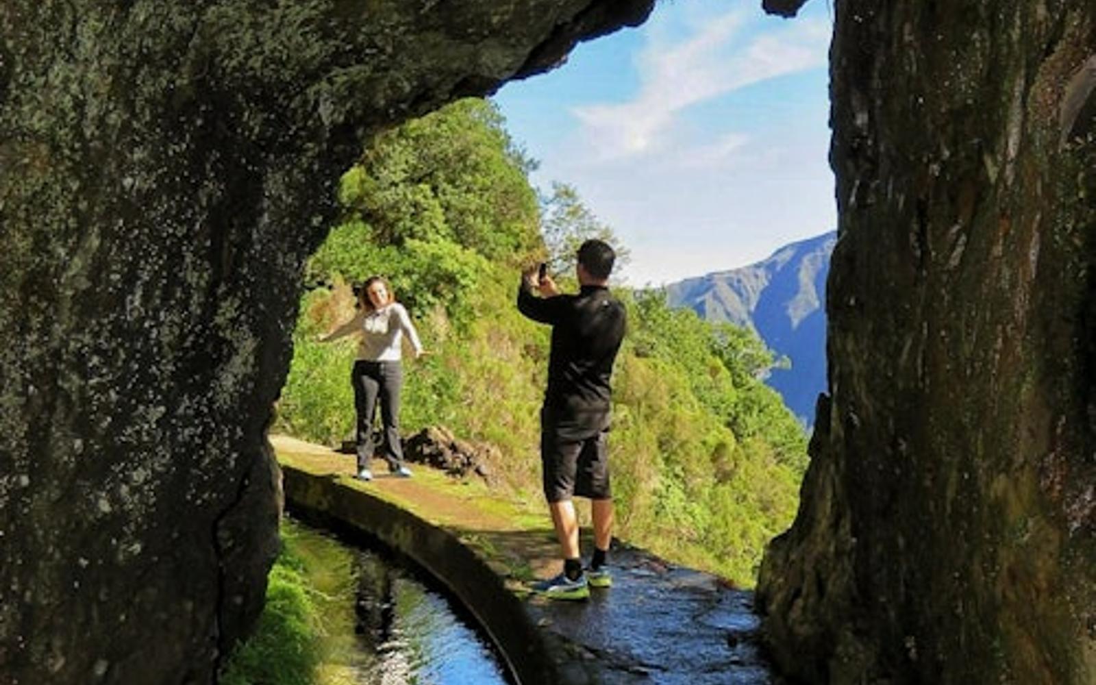 Enchanted Terraces: Guided Madeira Excursion