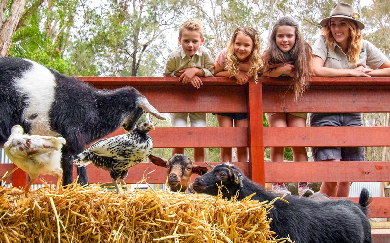 Billetter til Bonorong Wildlife Sanctuary