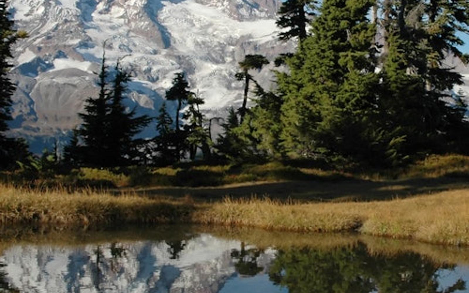 Mt. Rainier: All-Inclusive Small-Group Day Trip from Seattle