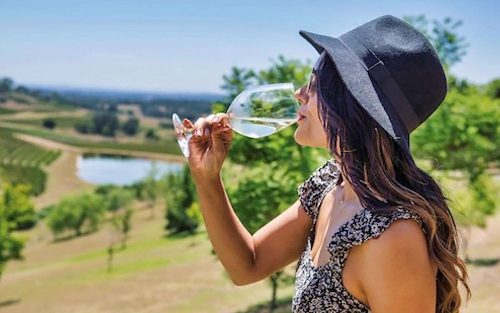 Från Sydney: Hunter Valley Vin & Mat Tour tickets at Mercure Sydney, Sydney