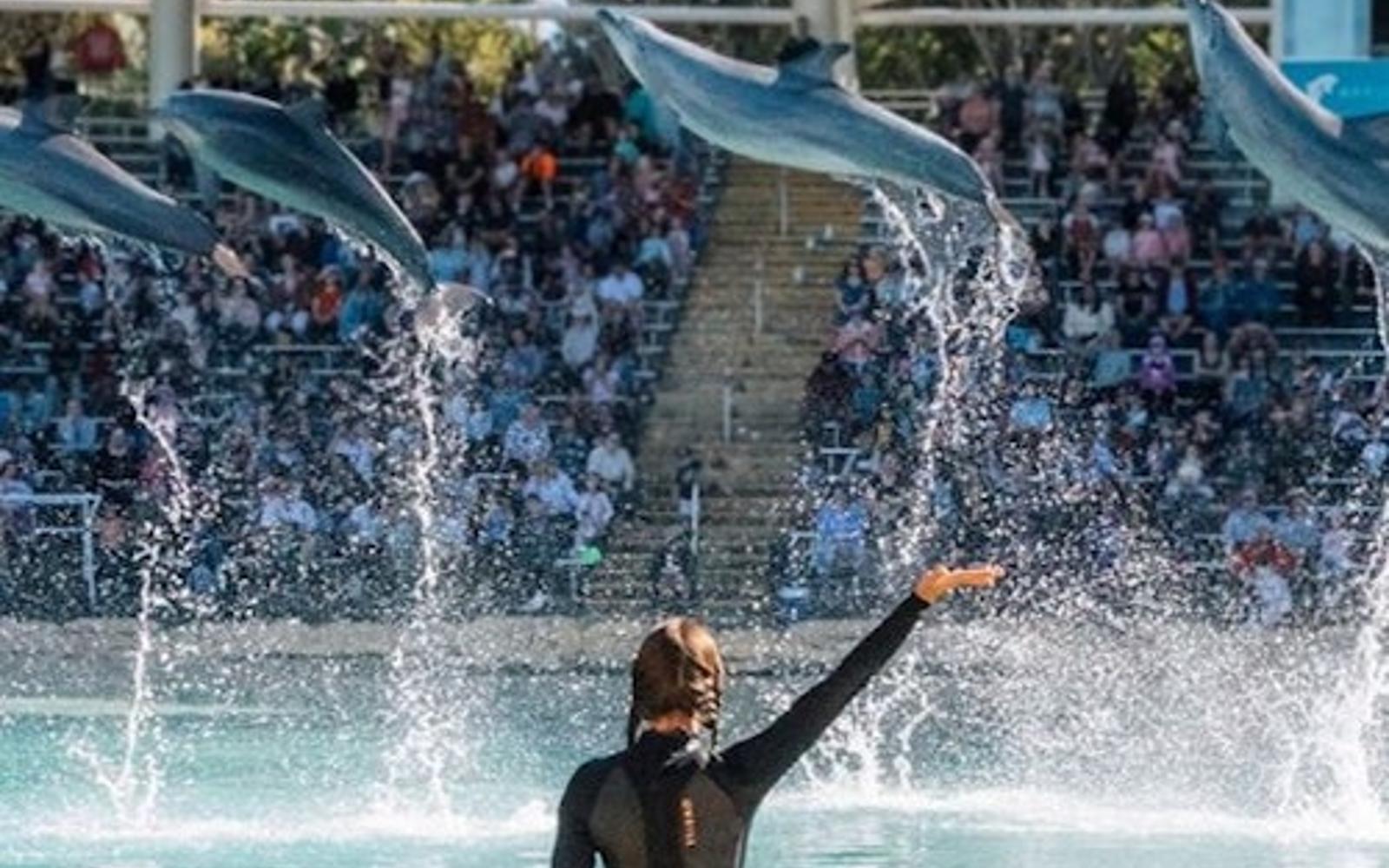 Sea World Single Day Pass Ticket