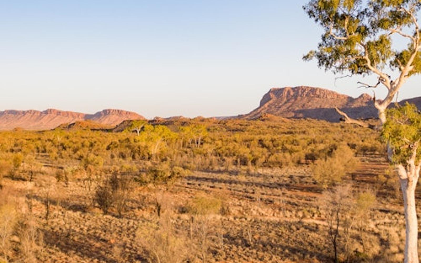 West MacDonnell Ranges: Guided Tour + Roundtrip Transfer + Lunch