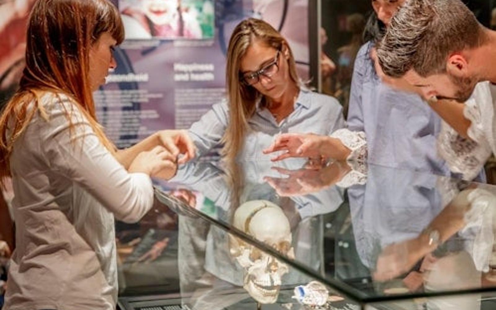 BODY WORLDS Museum Heidelberg - Anatomy of Happiness