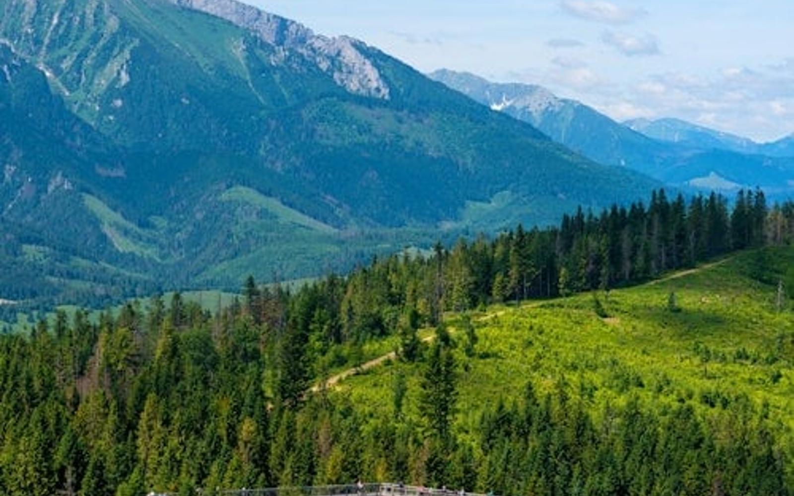 Zdiar : Treetop Walk Bachledka Private Tour from Krakow tickets, Krakow