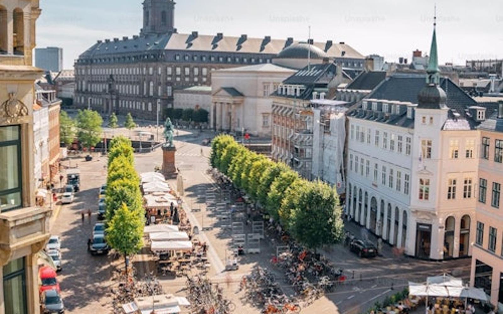 Copenhagen: Guided Walking Tour in French