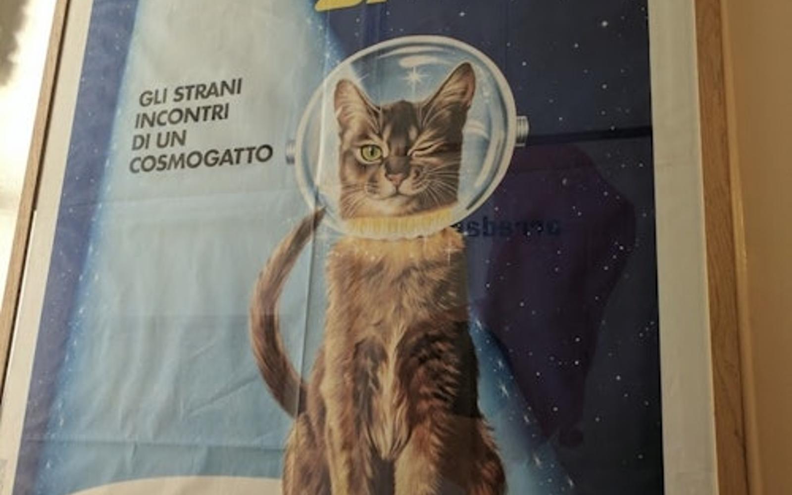 Vstupenka do Kočičího kabinetu