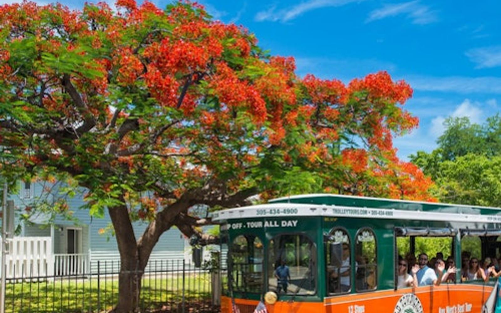 Key West: Hop-on Hop-off Old Town Trolley tickets, Key West